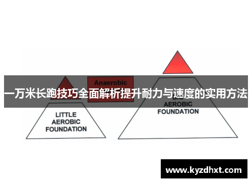 一万米长跑技巧全面解析提升耐力与速度的实用方法