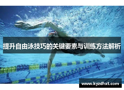 提升自由泳技巧的关键要素与训练方法解析