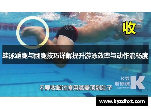 蛙泳蹬腿与翻腿技巧详解提升游泳效率与动作流畅度