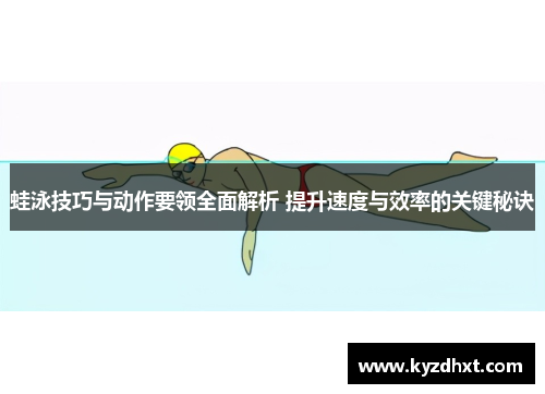 蛙泳技巧与动作要领全面解析 提升速度与效率的关键秘诀
